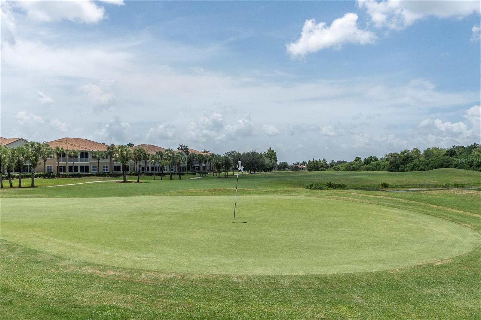 301 THORN HILL PL, SUN CITY CENTER, FL, 33573