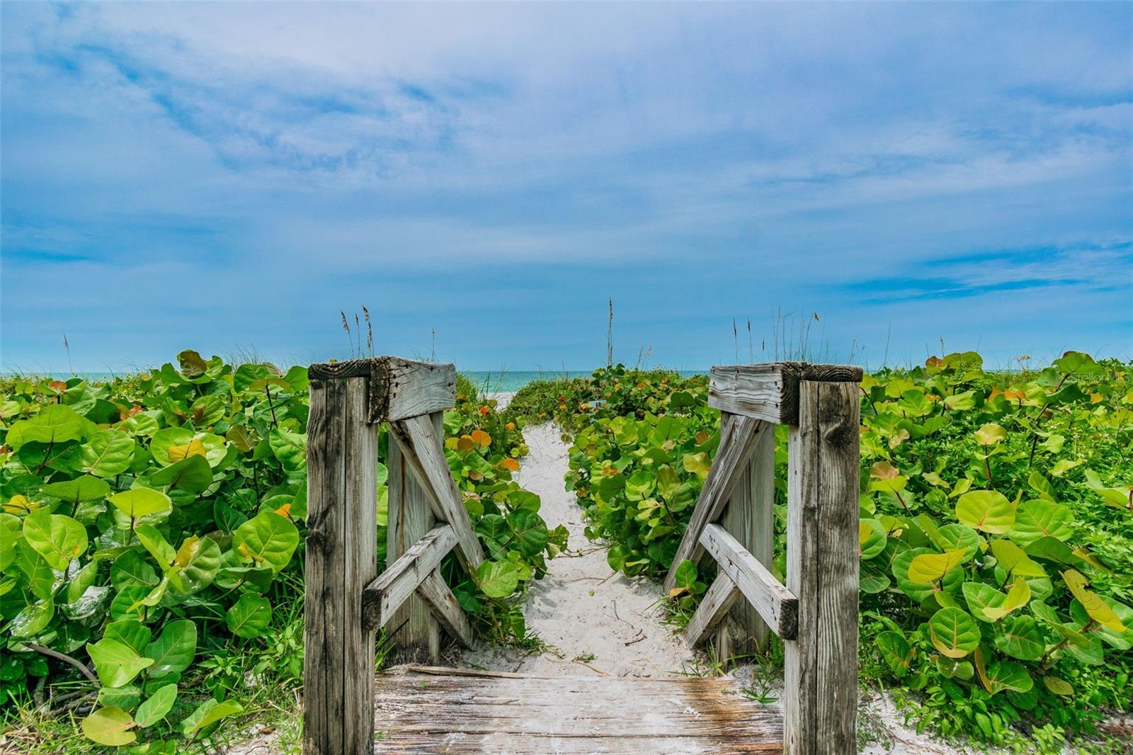 221 HOWARD DR, BELLEAIR BEACH, FL, 33786