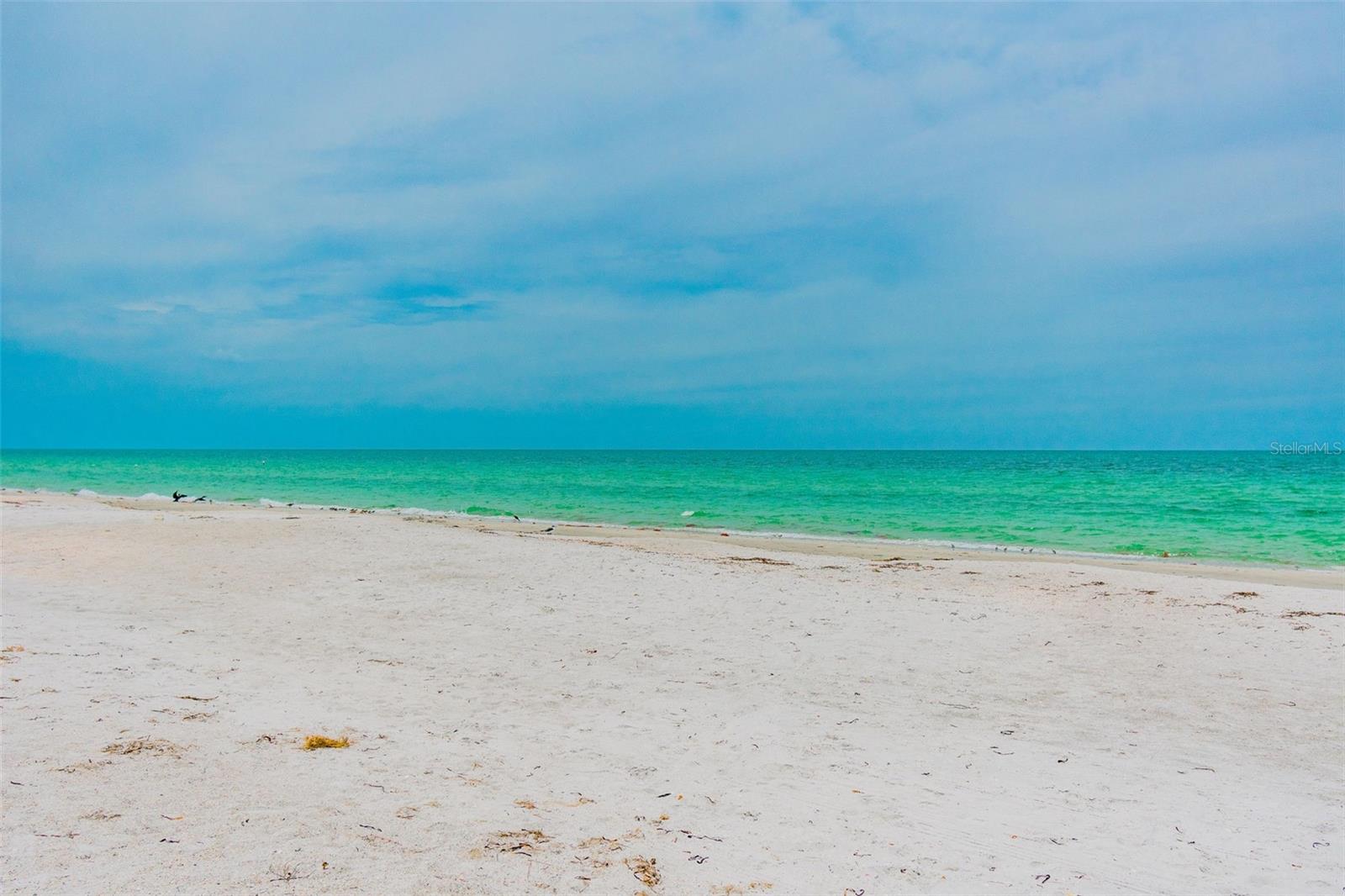 221 HOWARD DR, BELLEAIR BEACH, FL, 33786