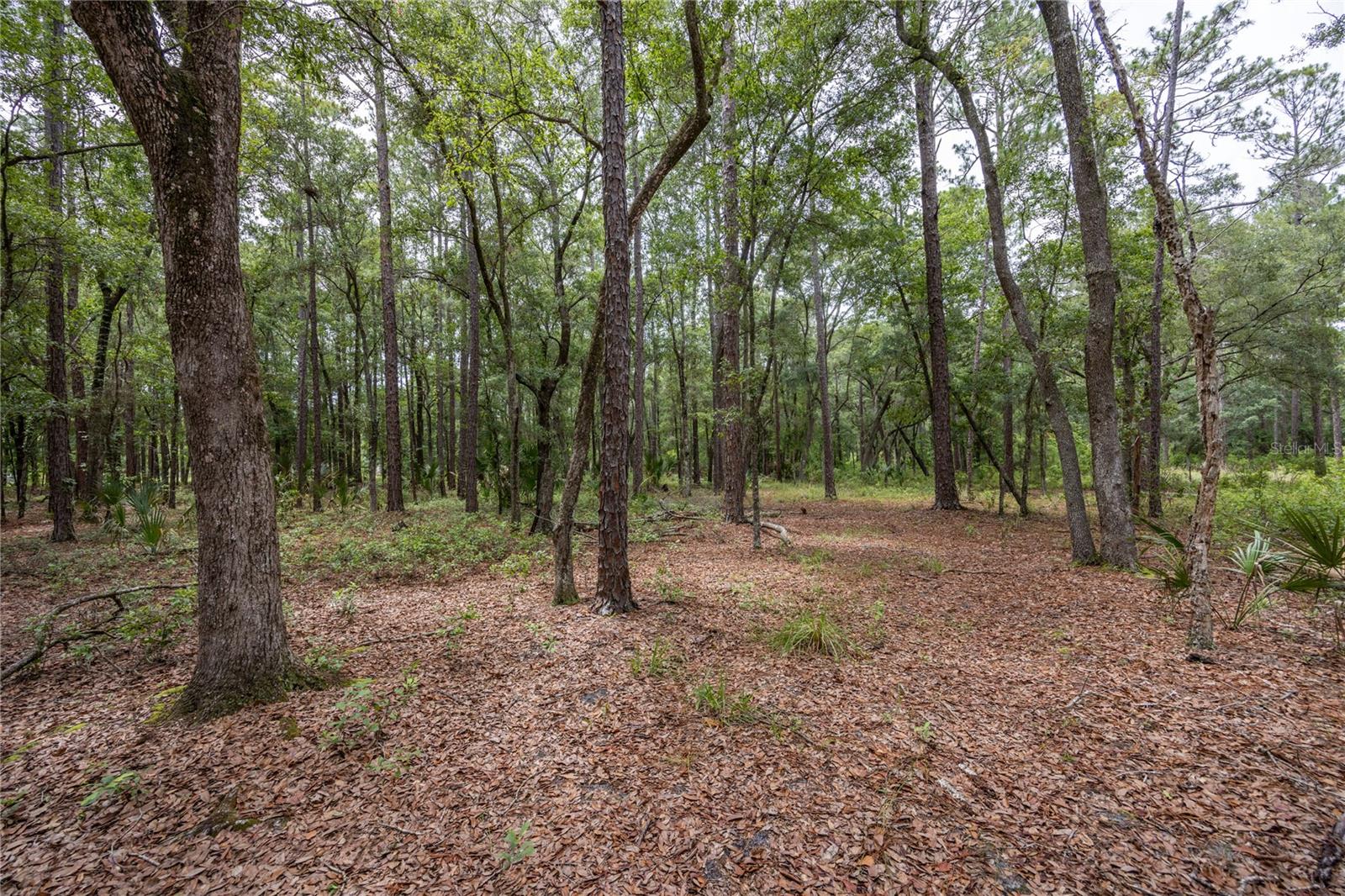 0 SE 47TH AVE, HAWTHORNE, FL, 32640