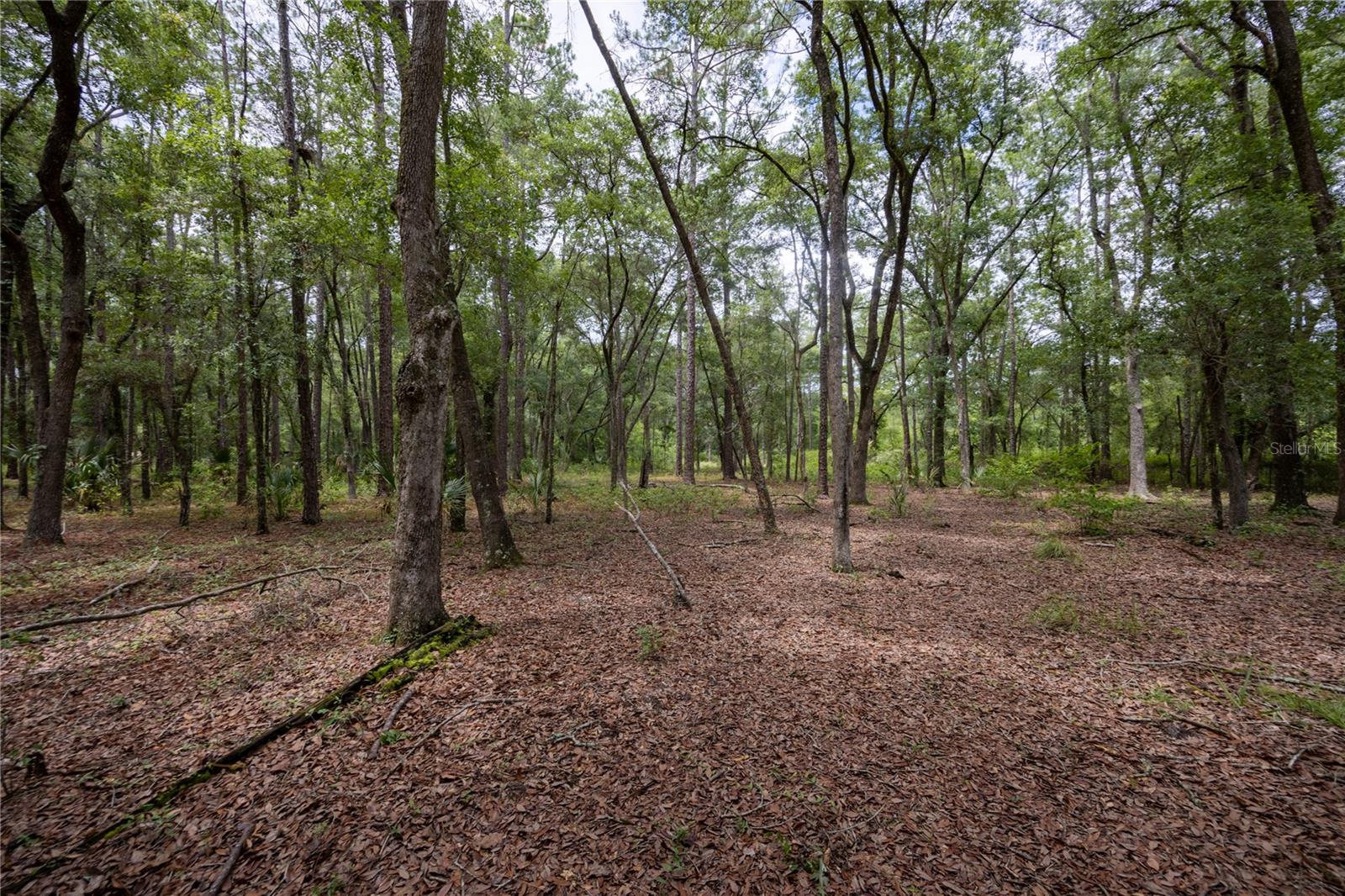 0 SE 47TH AVE, HAWTHORNE, FL, 32640