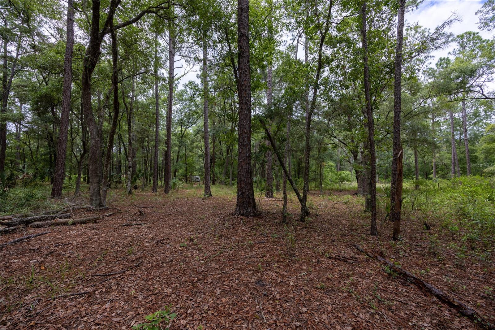 0 SE 47TH AVE, HAWTHORNE, FL, 32640