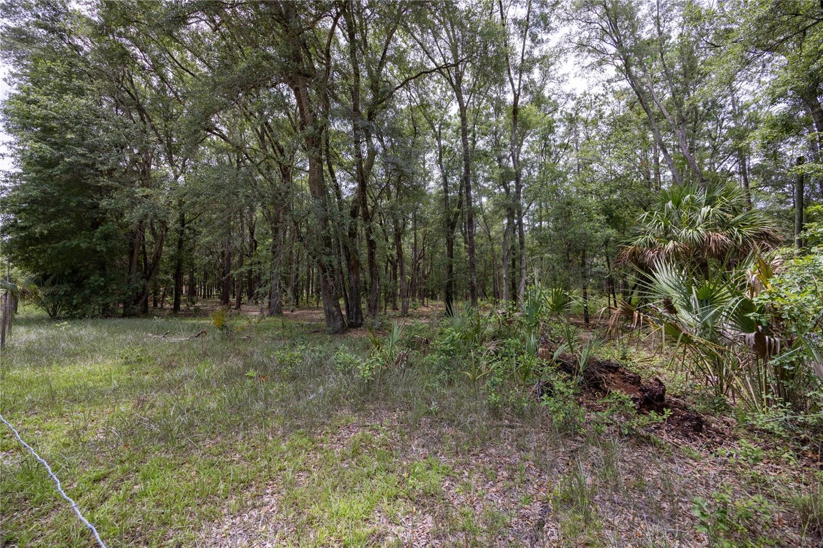 0 SE 47TH AVE, HAWTHORNE, FL, 32640