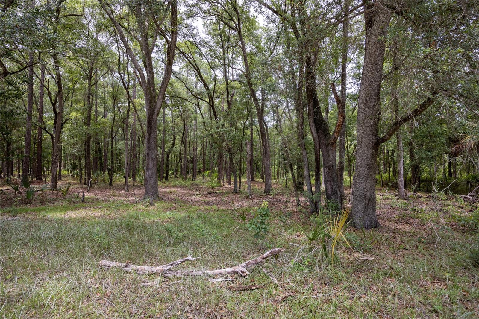 0 SE 47TH AVE, HAWTHORNE, FL, 32640