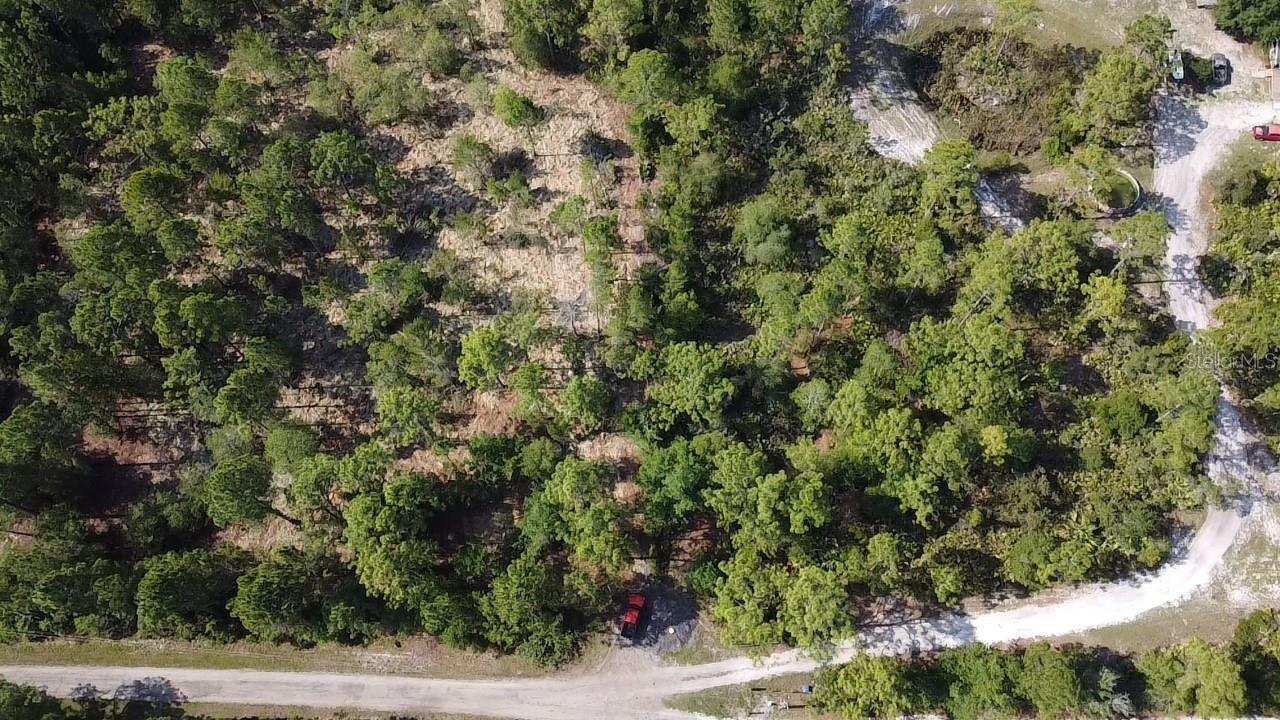 DOG LEG TRL, OSTEEN, FL, 32764