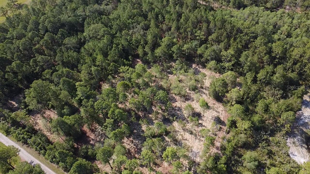 DOG LEG TRL, OSTEEN, FL, 32764