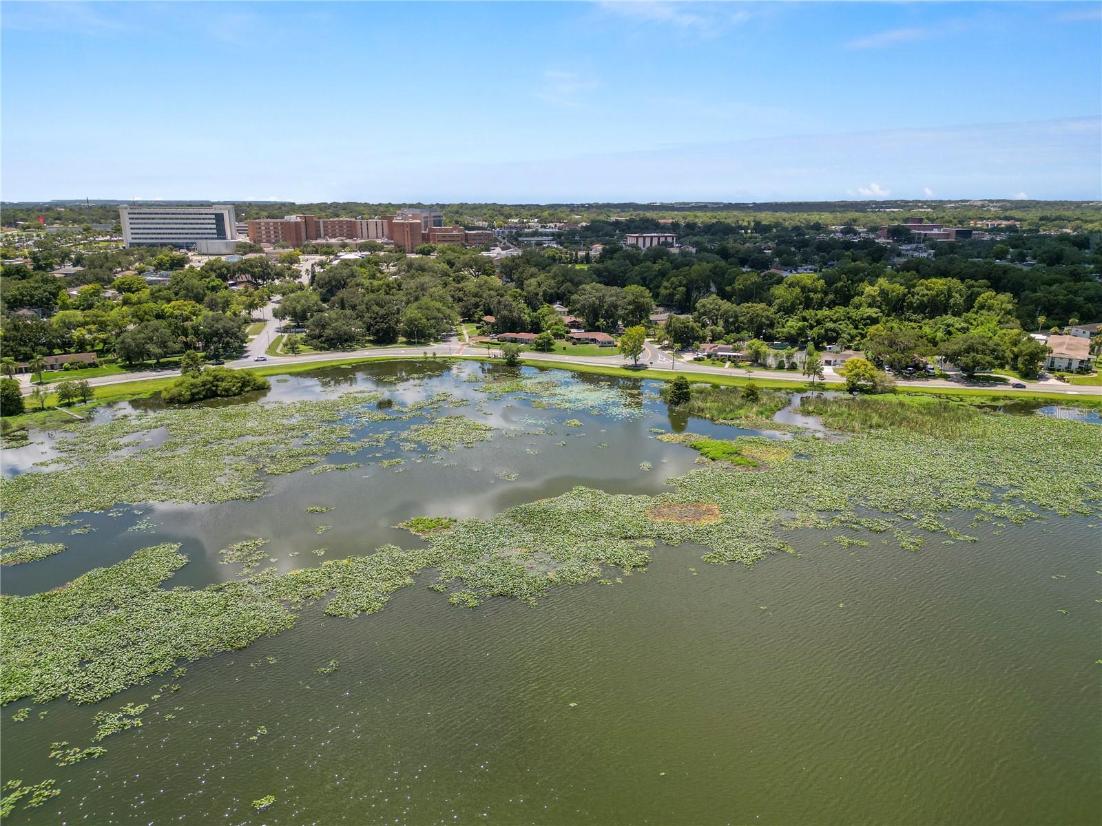 1342 W LAKE PARKER DR, LAKELAND, FL, 33805