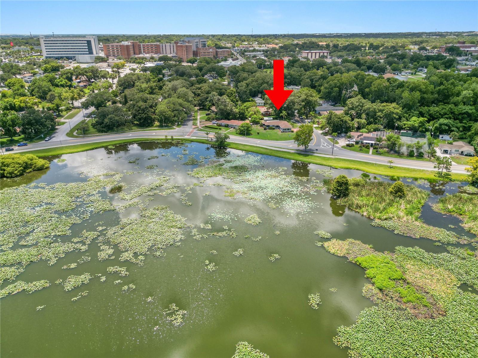 1342 W LAKE PARKER DR, LAKELAND, FL, 33805