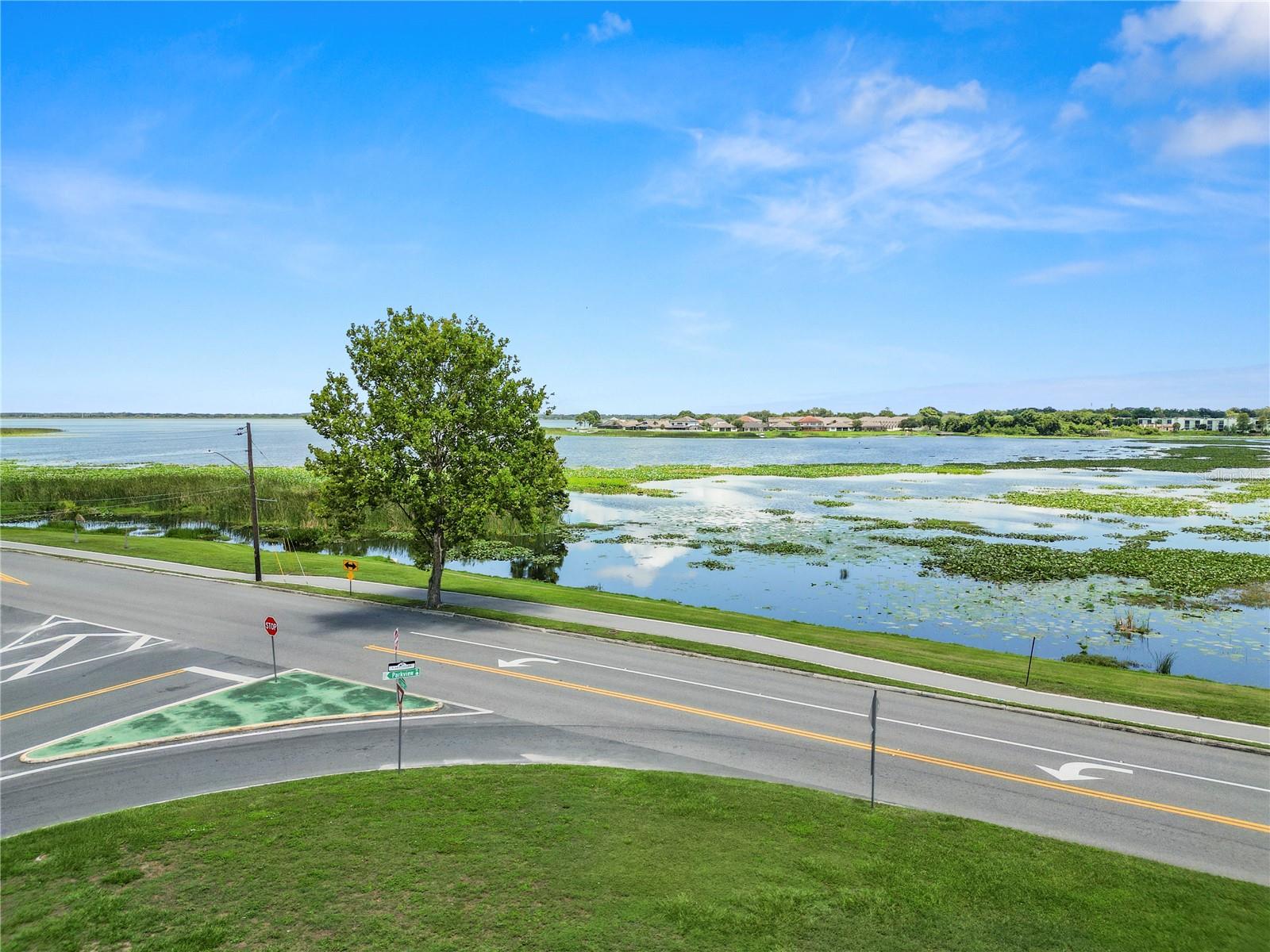 1342 W LAKE PARKER DR, LAKELAND, FL, 33805