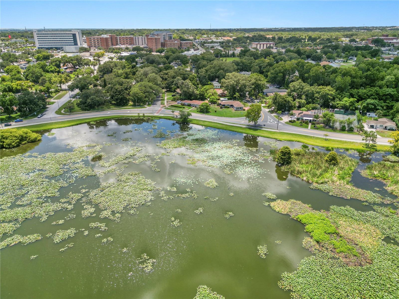 1342 W LAKE PARKER DR, LAKELAND, FL, 33805