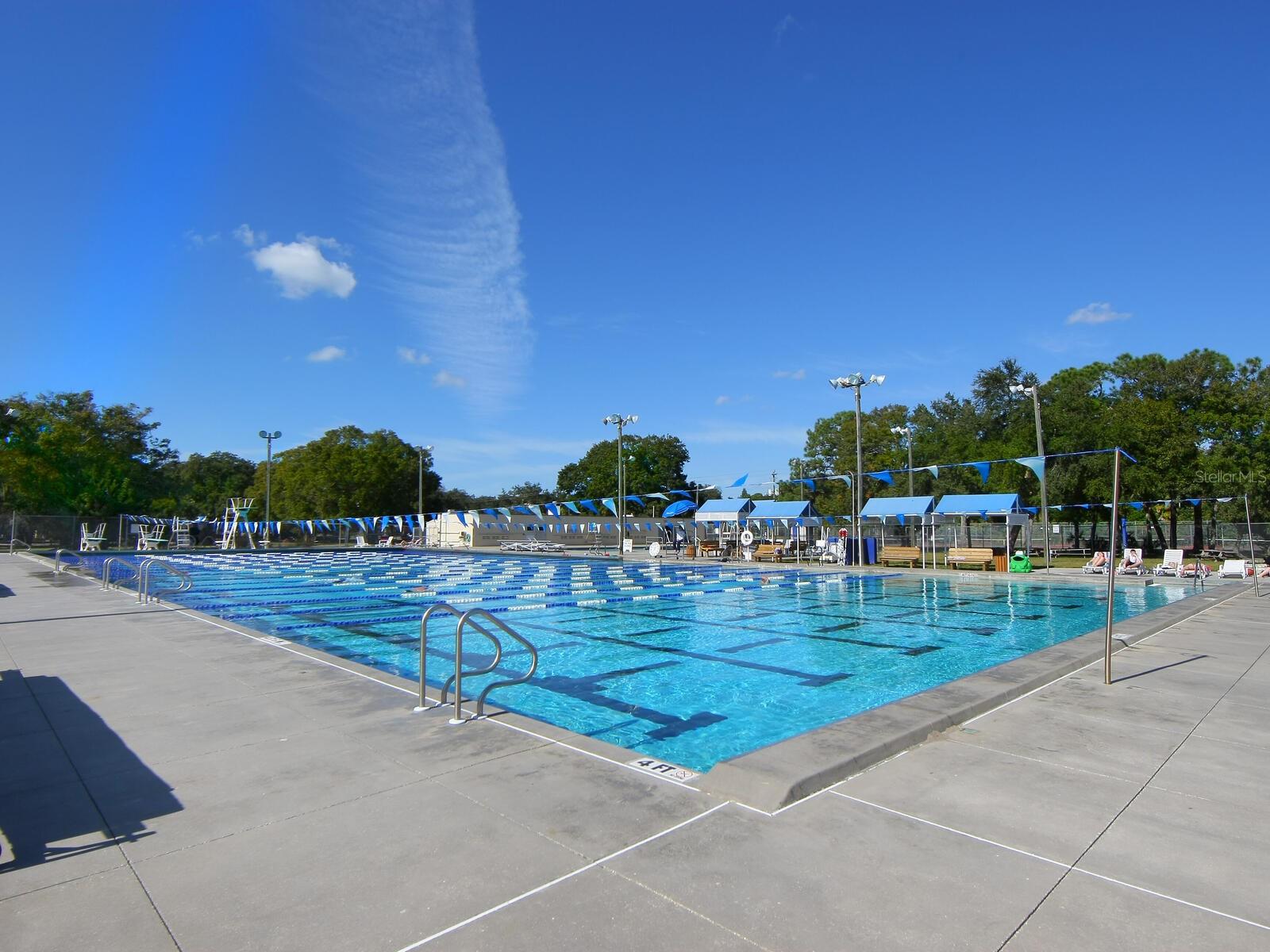 818 PADGETT AVE, SARASOTA, FL, 34237
