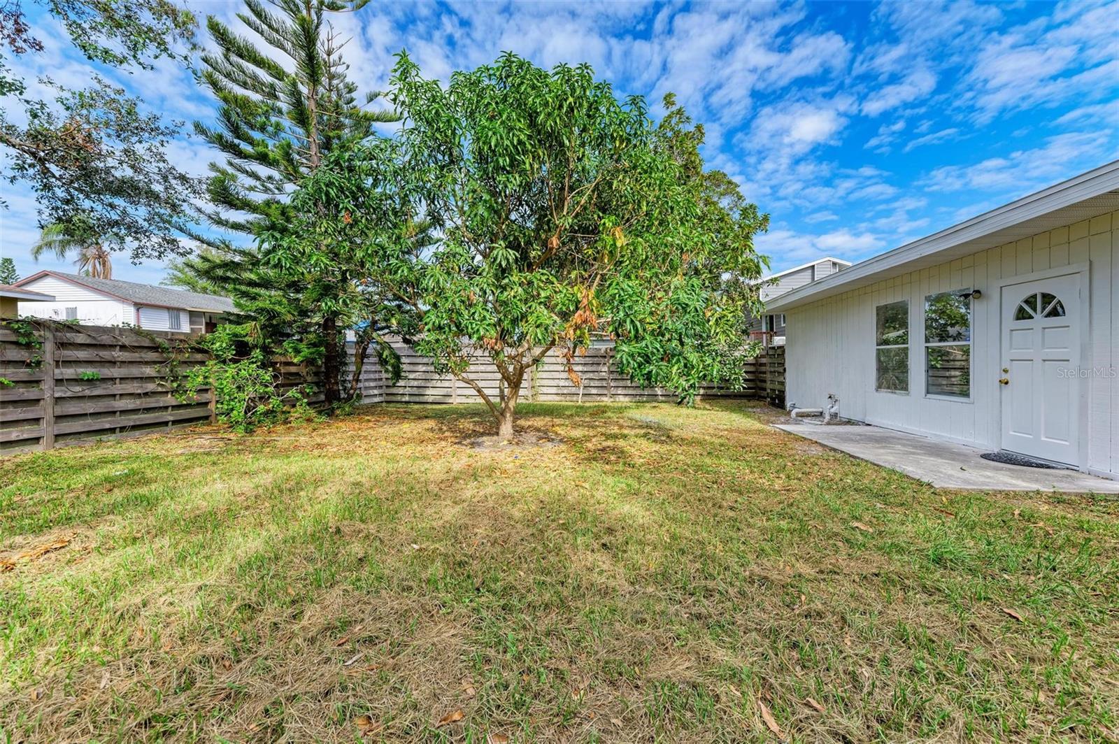 818 PADGETT AVE, SARASOTA, FL, 34237