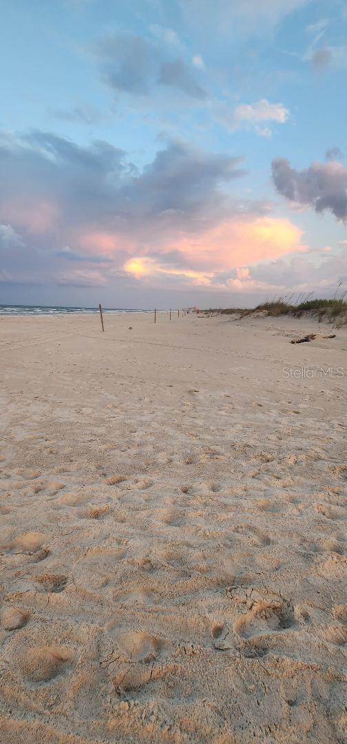 250 MINORCA BEACH WAY #203, NEW SMYRNA BEACH, FL, 32169