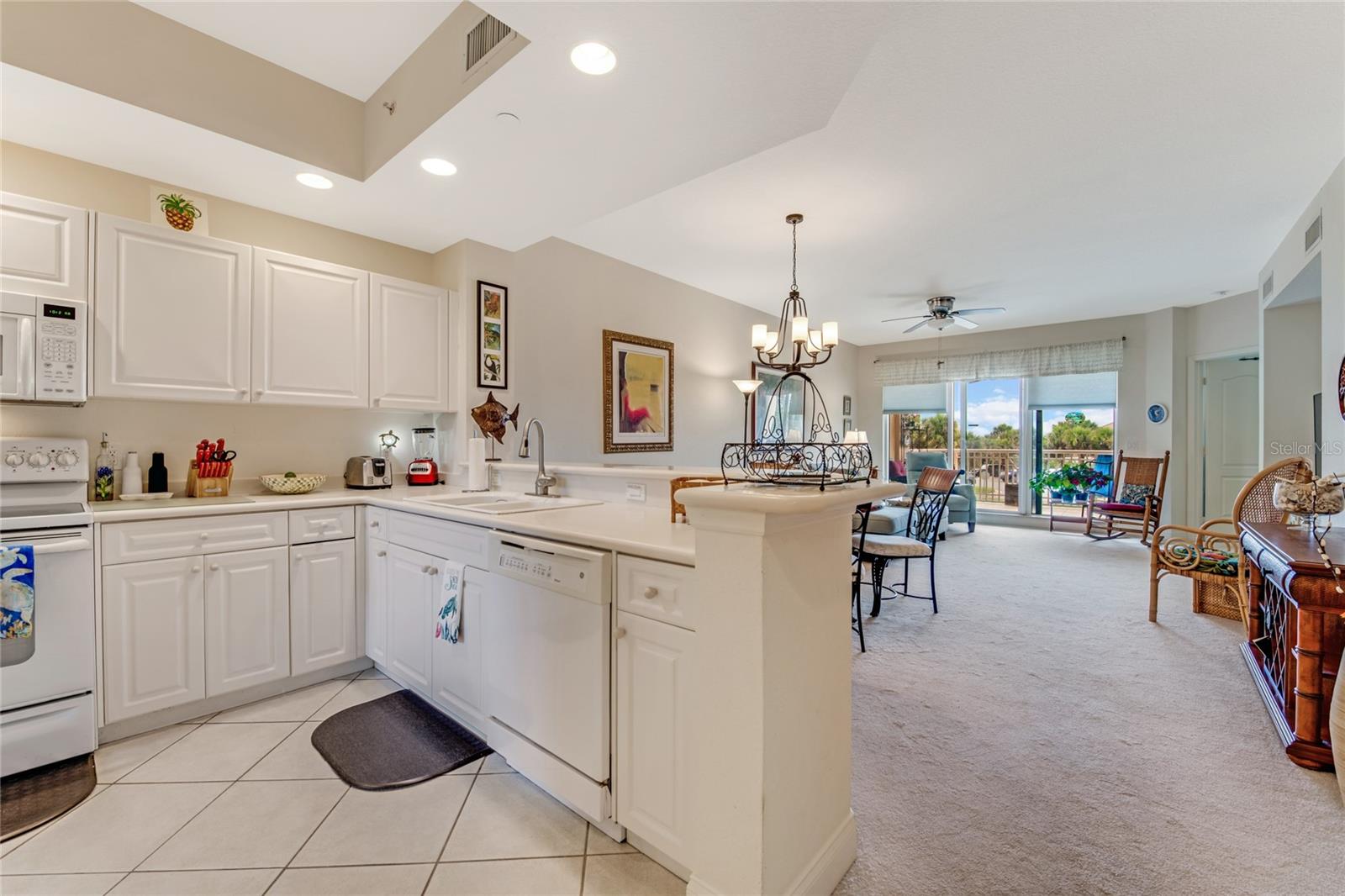 250 MINORCA BEACH WAY #203, NEW SMYRNA BEACH, FL, 32169