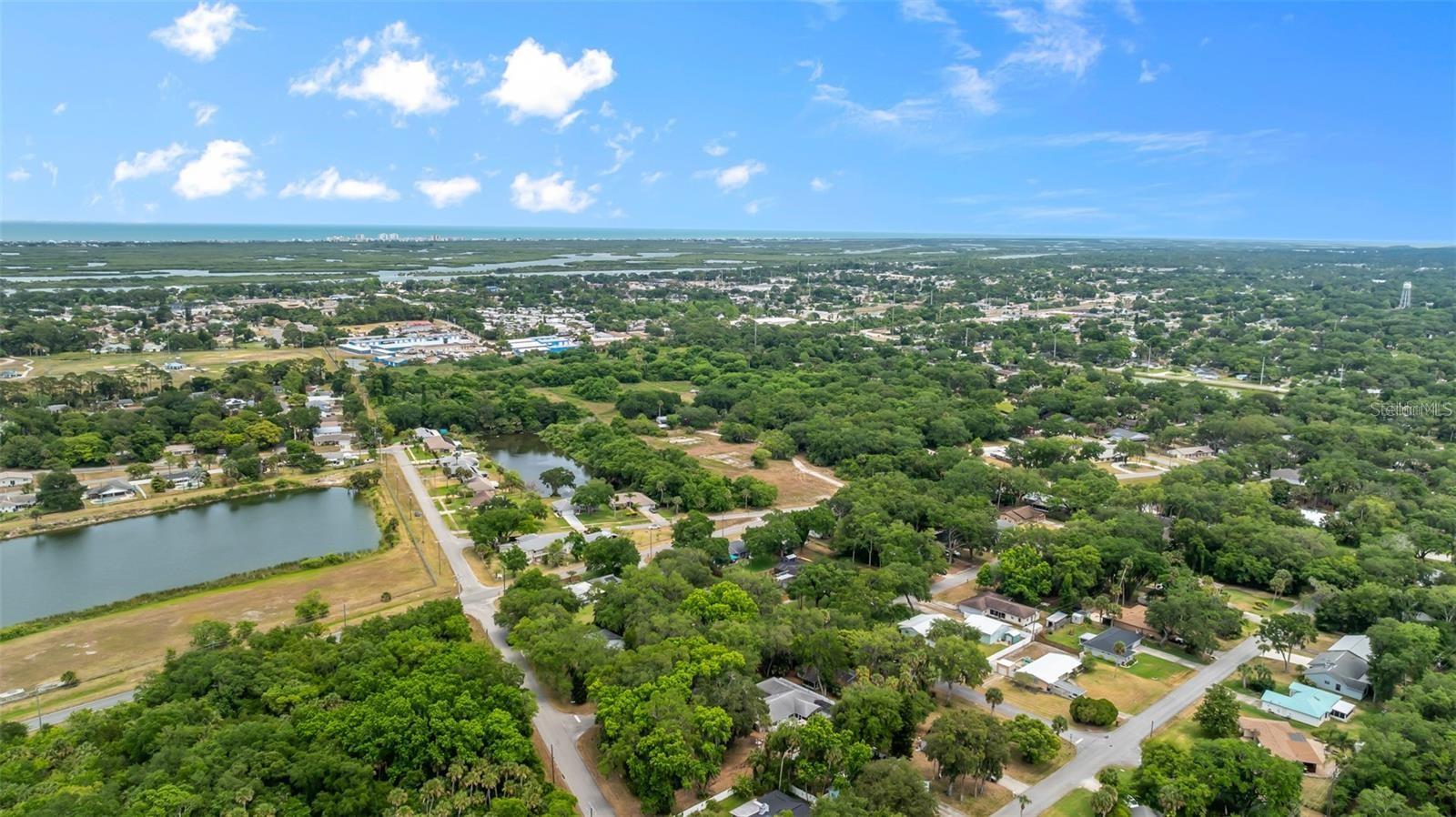 NEEDLE PALM DR, EDGEWATER, FL, 32132