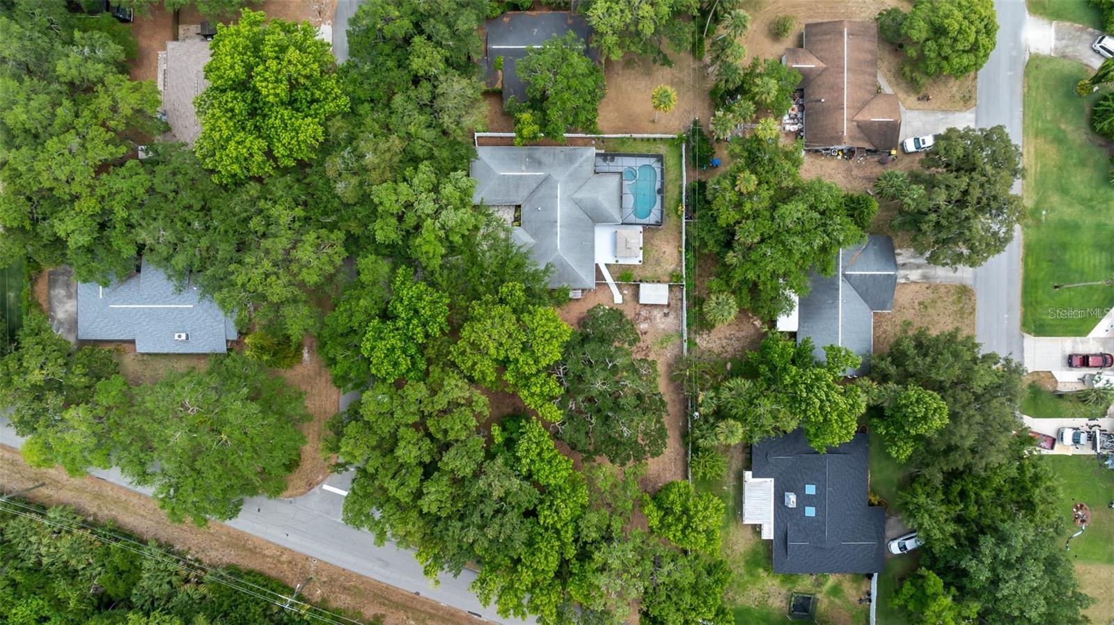 NEEDLE PALM DR, EDGEWATER, FL, 32132