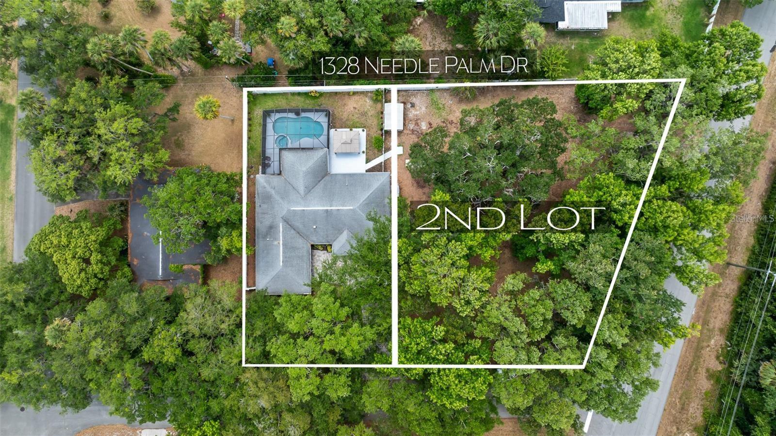 NEEDLE PALM DR, EDGEWATER, FL, 32132