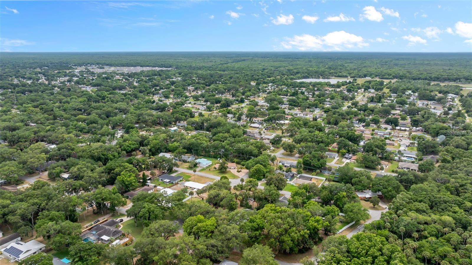 NEEDLE PALM DR, EDGEWATER, FL, 32132