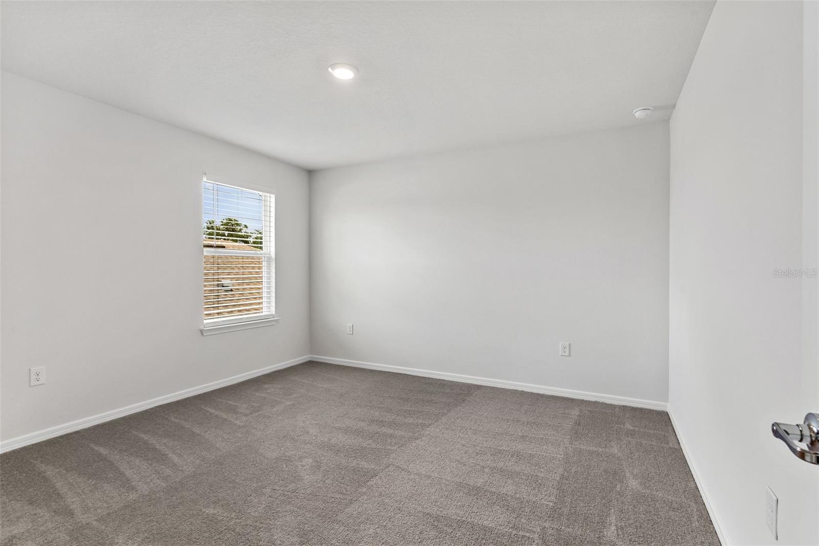 6248 BRADFORD WOODS DR, ZEPHYRHILLS, FL, 33542