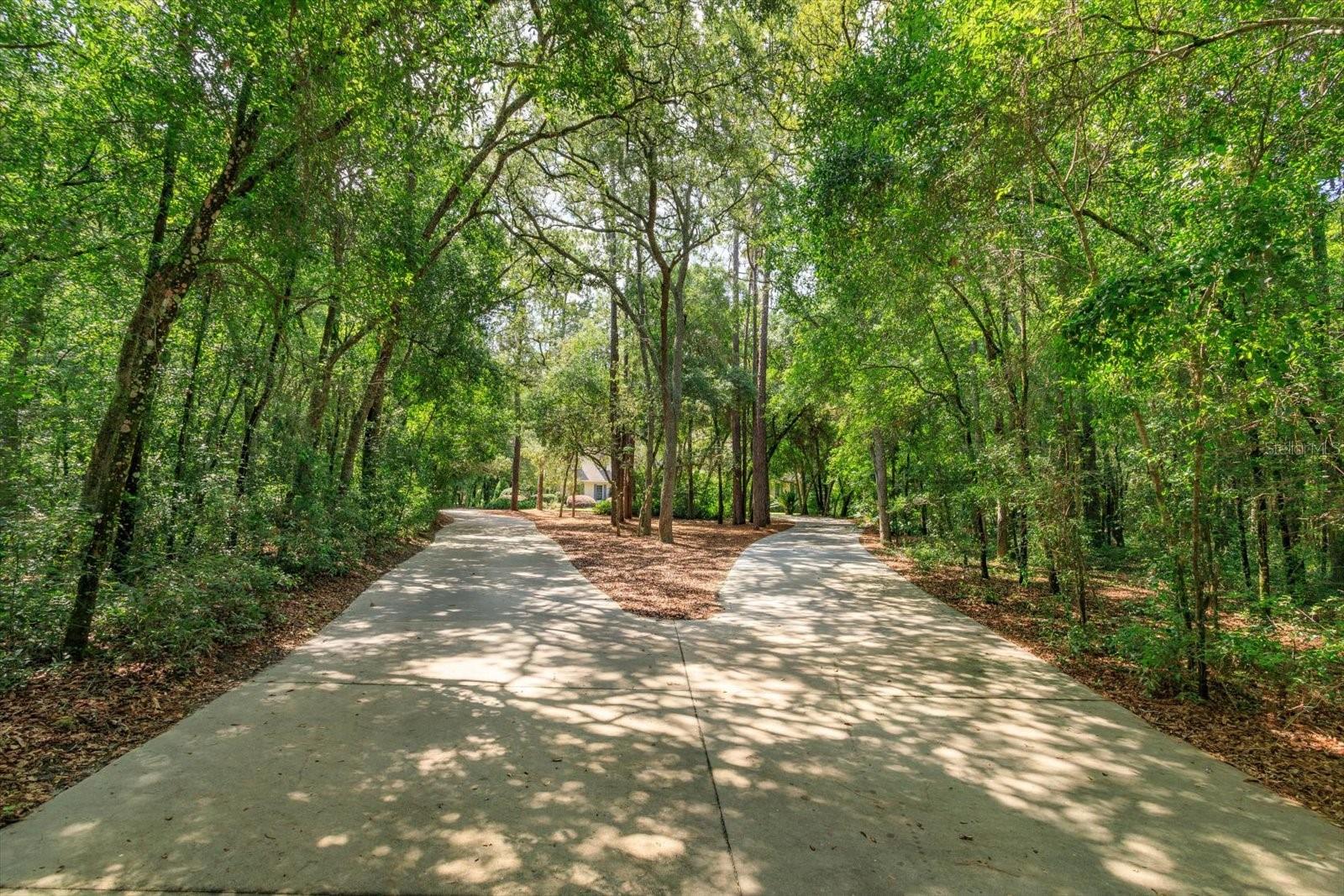 1750 TAYLOR WOODS RD, DELAND, FL, 32724