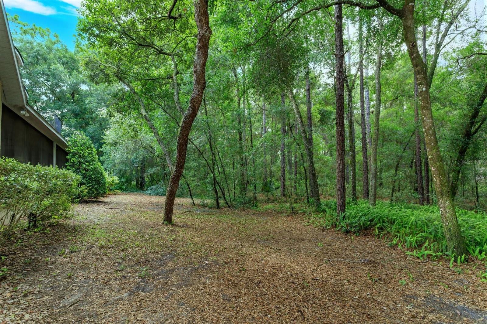 1750 TAYLOR WOODS RD, DELAND, FL, 32724