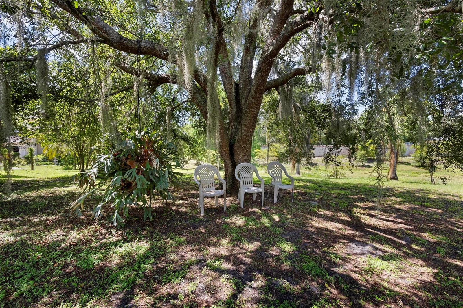 2804 DIKE RD, WINTER PARK, FL, 32792