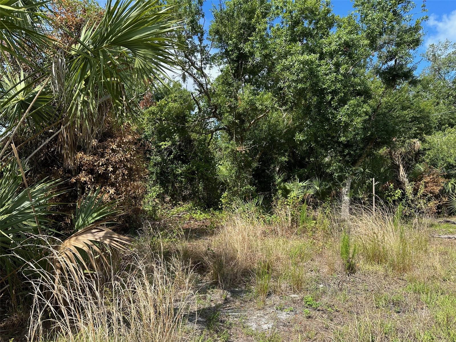 1099 CAZENOVIA ST, PORT CHARLOTTE, FL, 33952