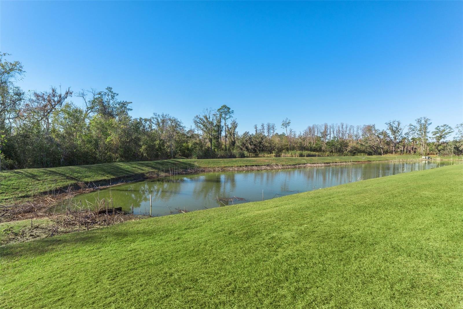 12931 CONQUISTADOR LOOP, SPRING HILL, FL, 34610