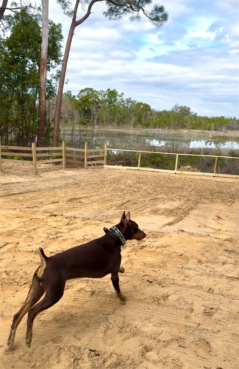 00 BEACH DR, UMATILLA, FL, 32784