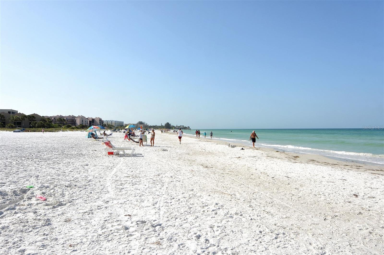 1350 N PORTOFINO DR #310, SARASOTA, FL, 34242