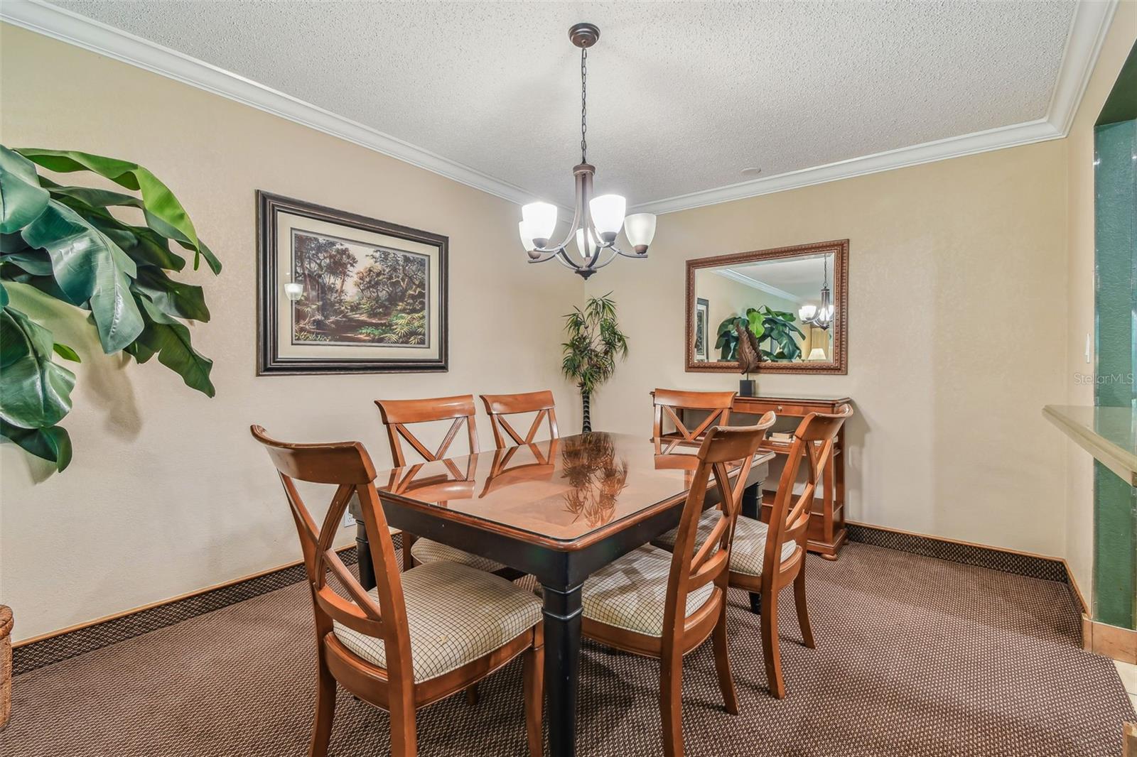 36750 US HIGHWAY 19 N #03124, PALM HARBOR, FL, 34684