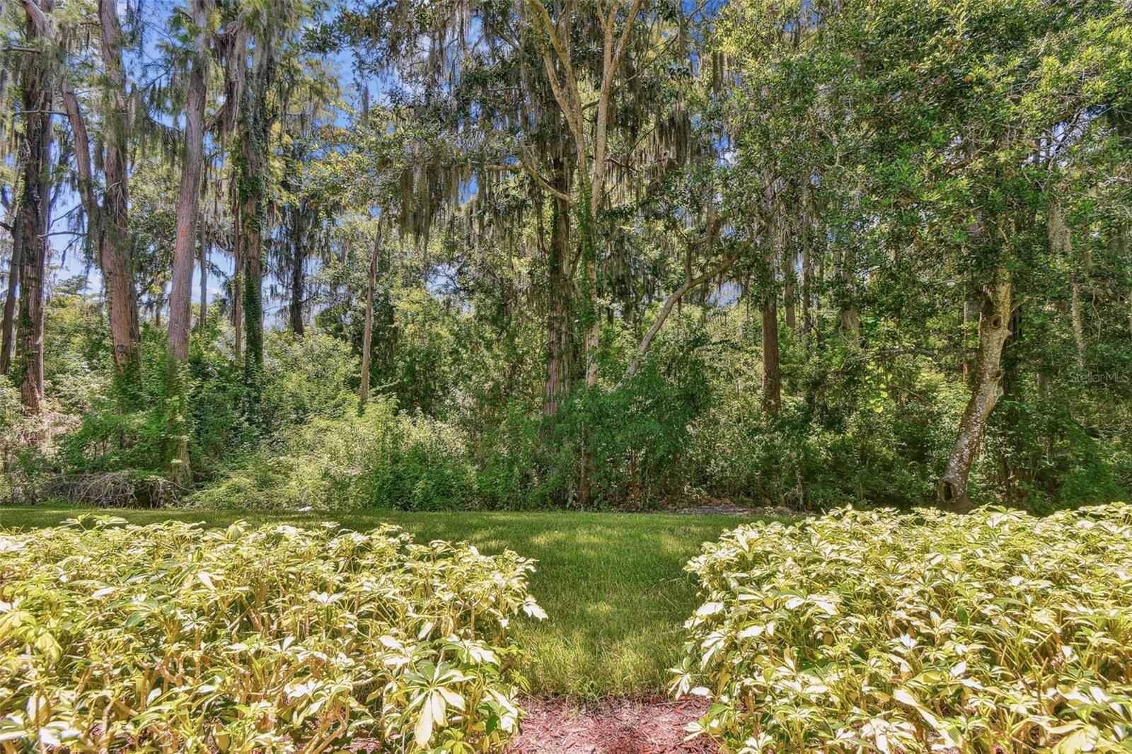 36750 US HIGHWAY 19 N #03124, PALM HARBOR, FL, 34684