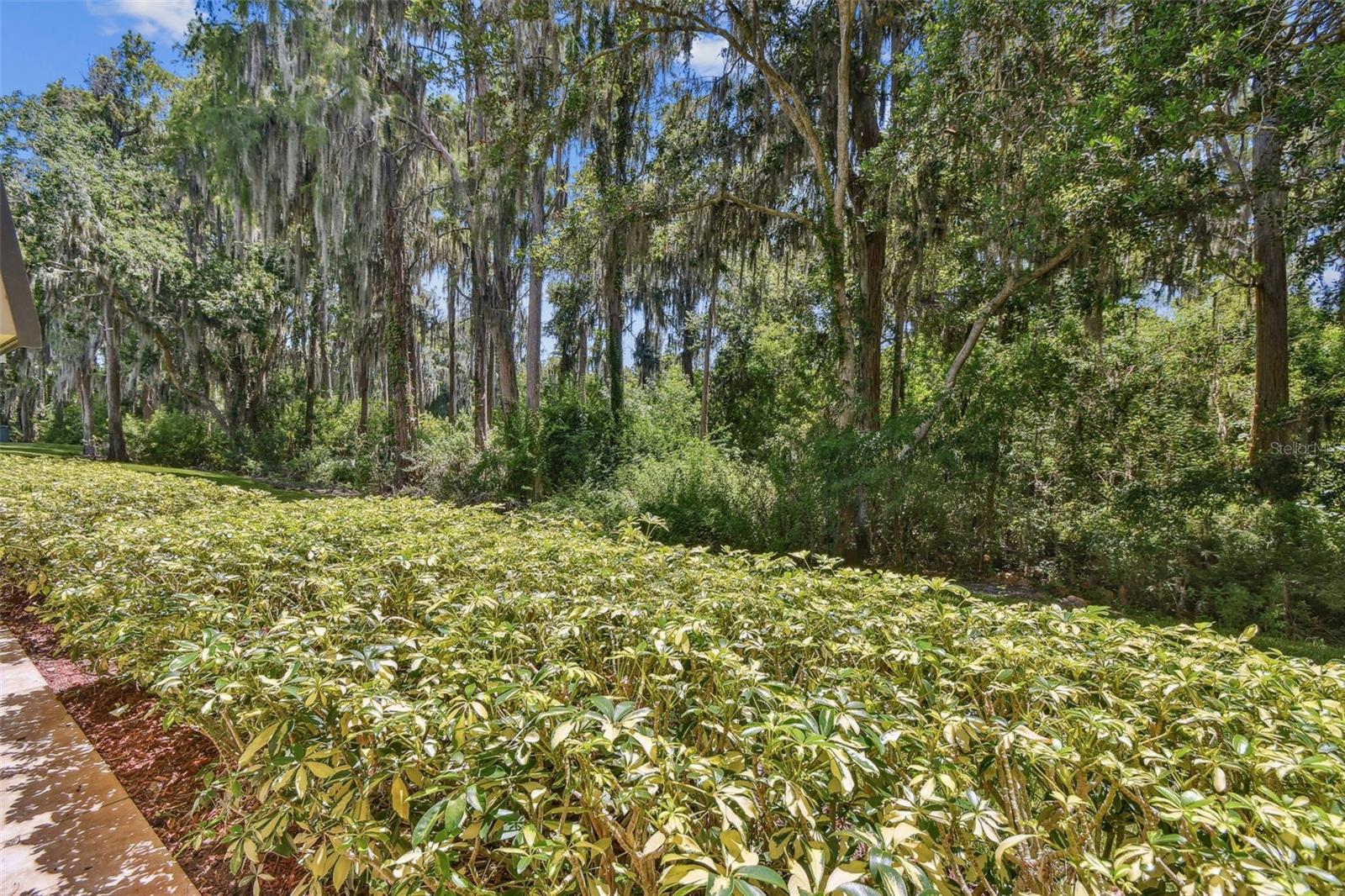 36750 US HIGHWAY 19 N #03124, PALM HARBOR, FL, 34684