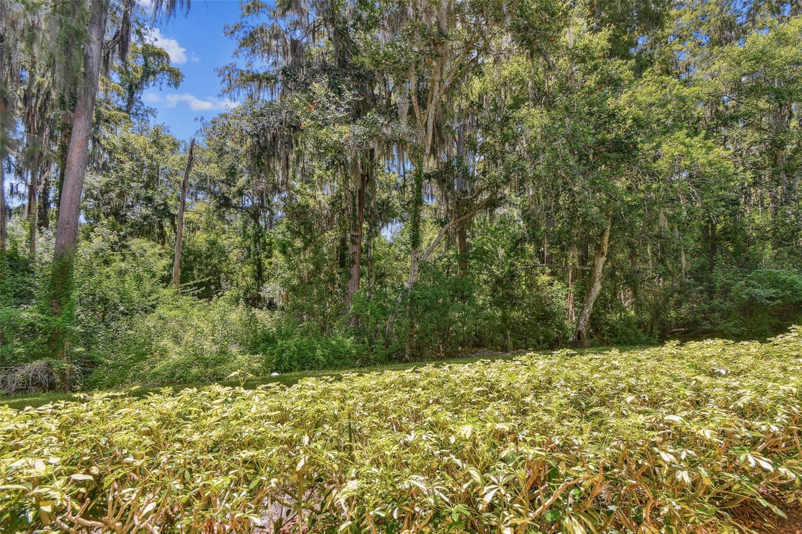 36750 US HIGHWAY 19 N #03124, PALM HARBOR, FL, 34684
