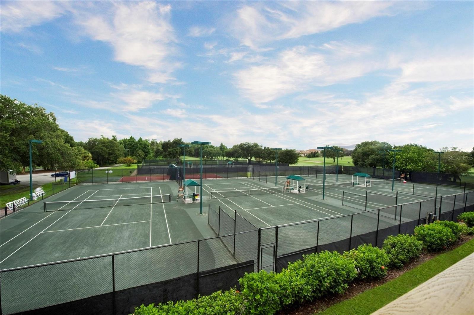 36750 US HIGHWAY 19 N #03124, PALM HARBOR, FL, 34684