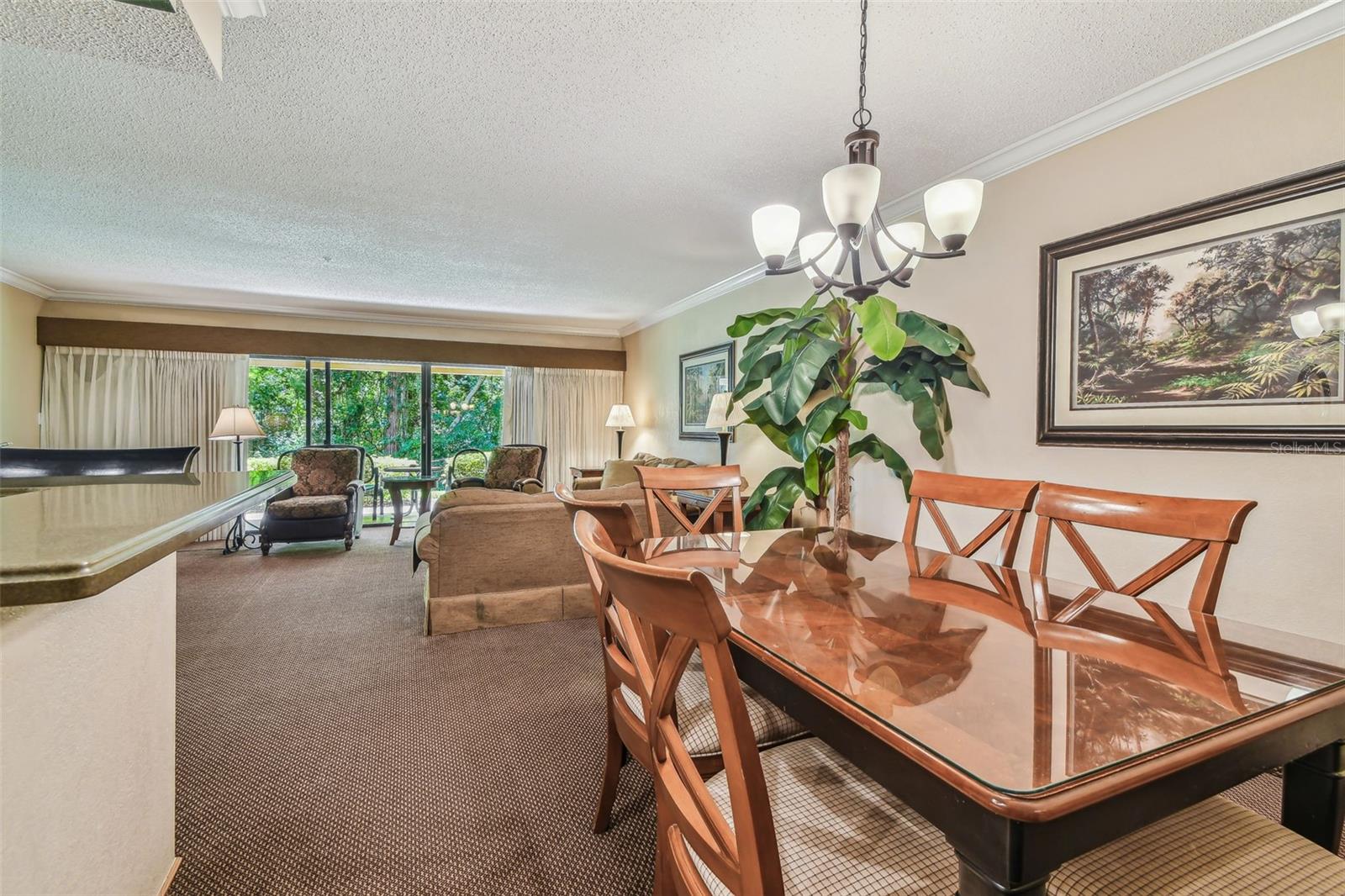 36750 US HIGHWAY 19 N #03124, PALM HARBOR, FL, 34684