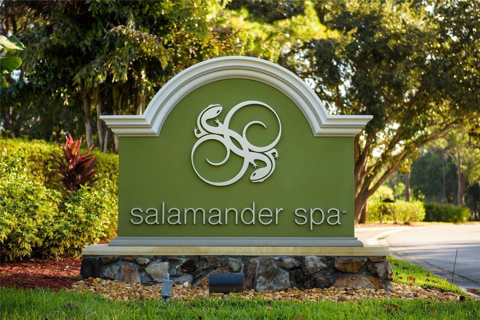 36750 US HIGHWAY 19 N #03124, PALM HARBOR, FL, 34684