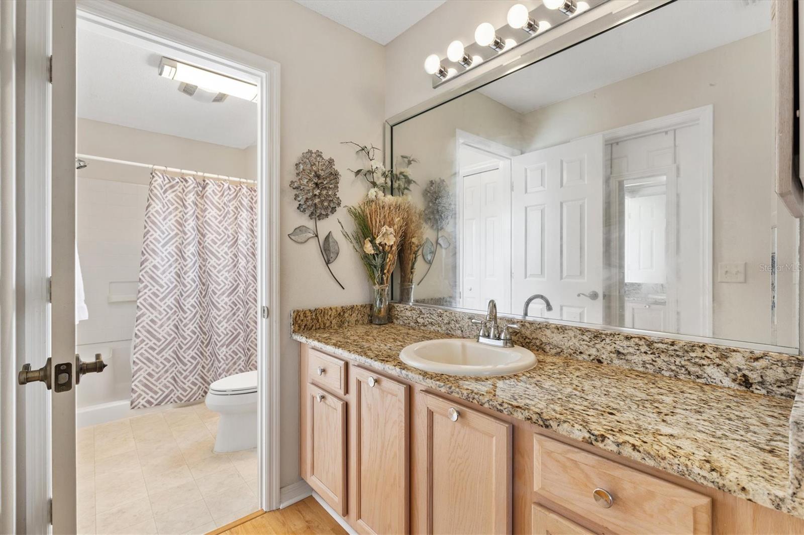 8084 SE 175TH MALMAISON ST, THE VILLAGES, FL, 32162