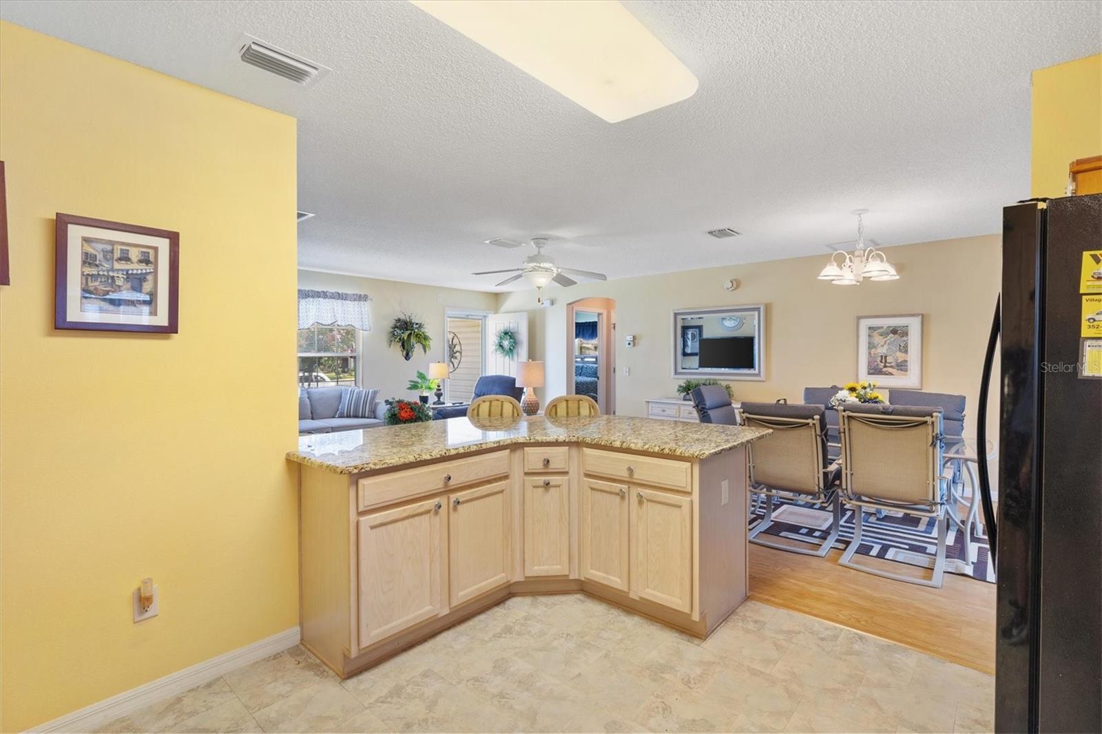 8084 SE 175TH MALMAISON ST, THE VILLAGES, FL, 32162