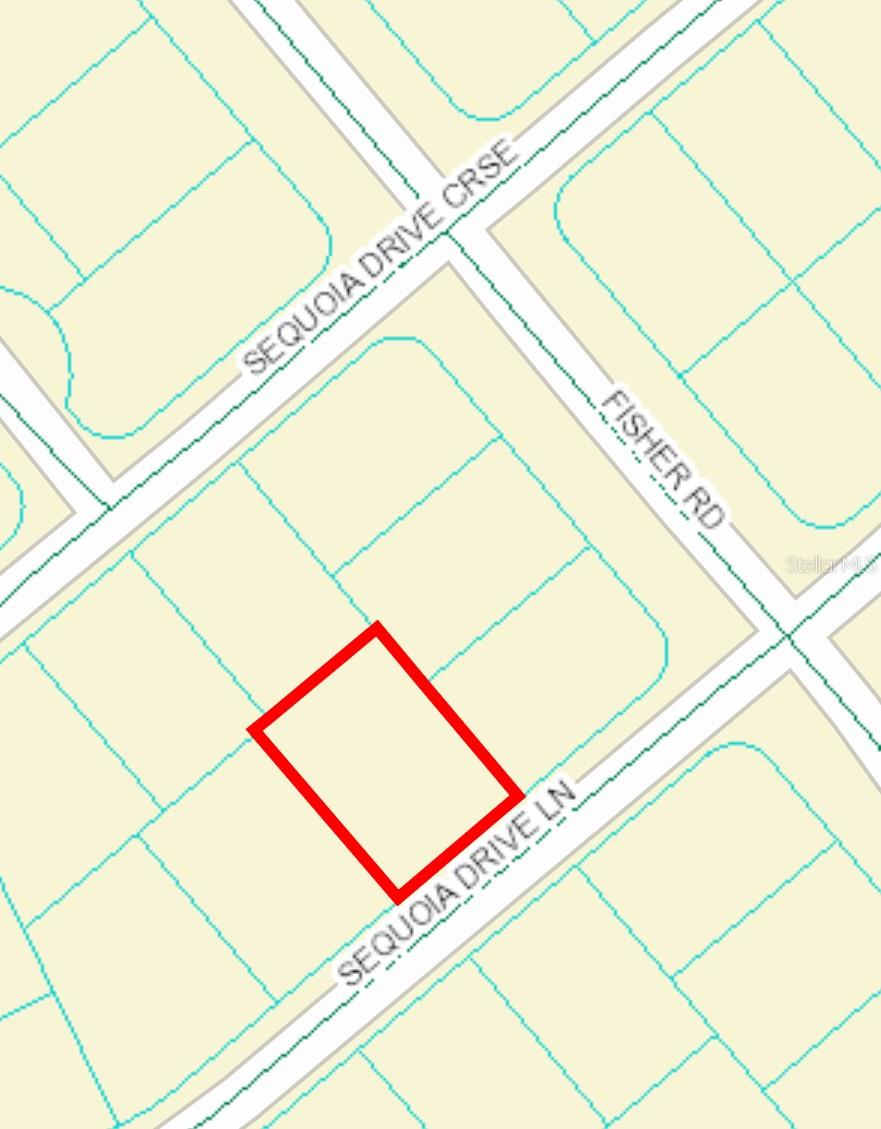 33 SEQUOIA DRIVE LN, OCKLAWAHA, FL, 32179