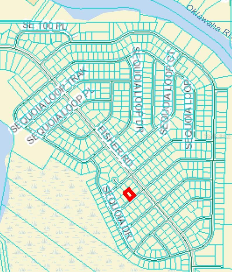 33 SEQUOIA DRIVE LN, OCKLAWAHA, FL, 32179