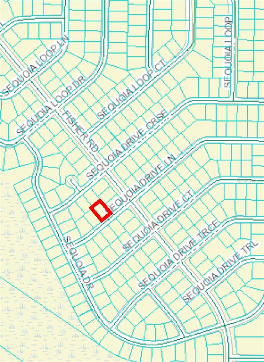 33 SEQUOIA DRIVE LN, OCKLAWAHA, FL, 32179