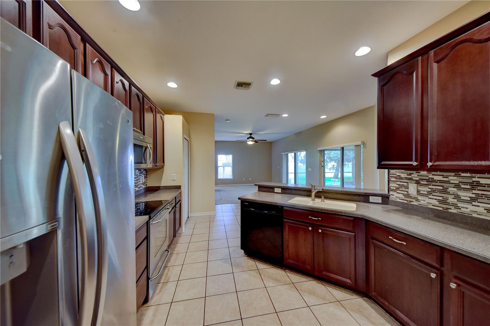 1438 EMERALD HILL WAY, VALRICO, FL, 33594