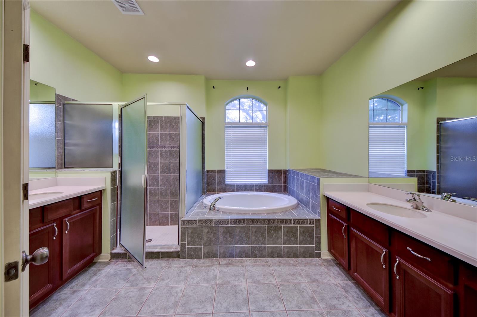 1438 EMERALD HILL WAY, VALRICO, FL, 33594