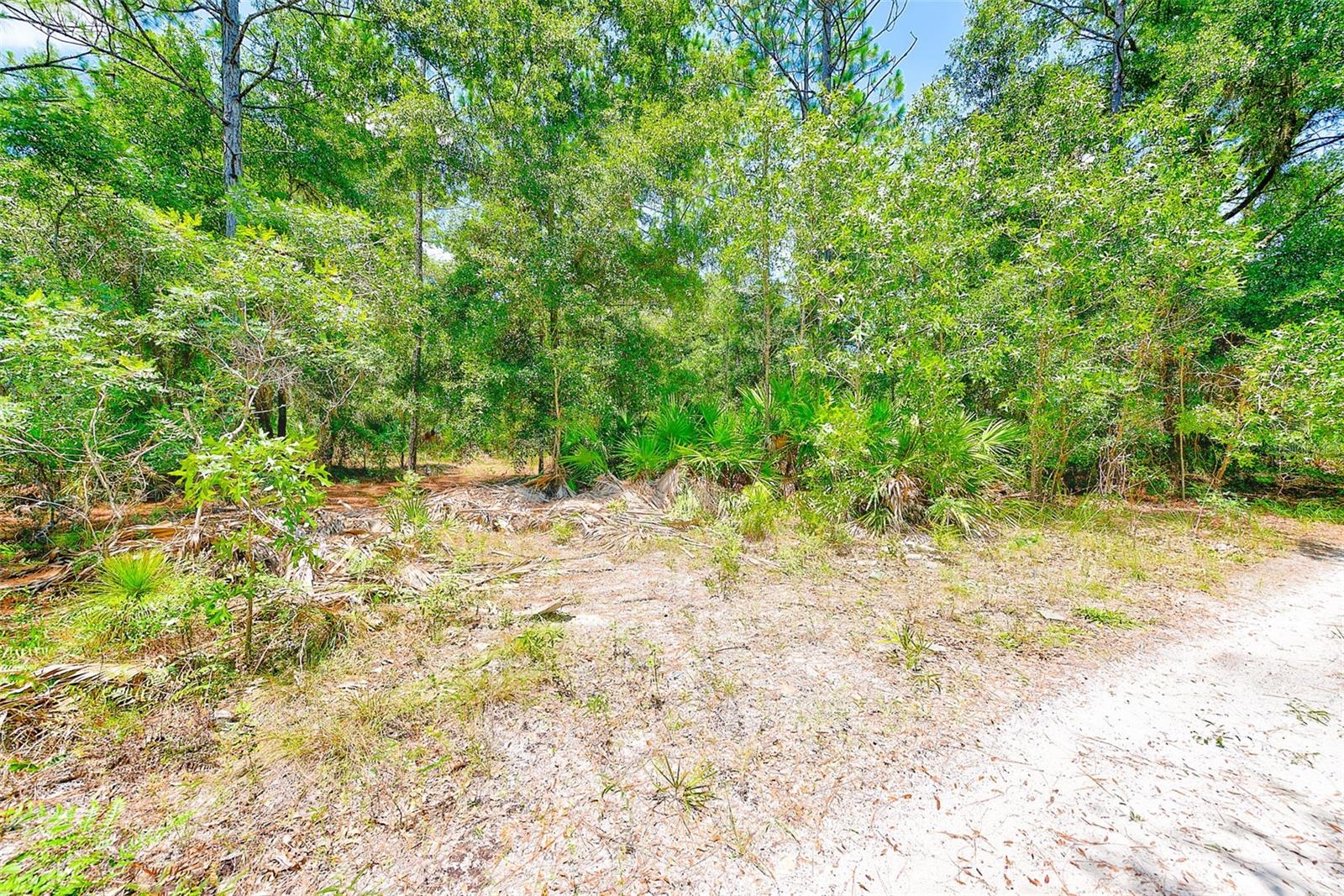 3129 N BERT TERRACE, CRYSTAL RIVER, FL, 34428