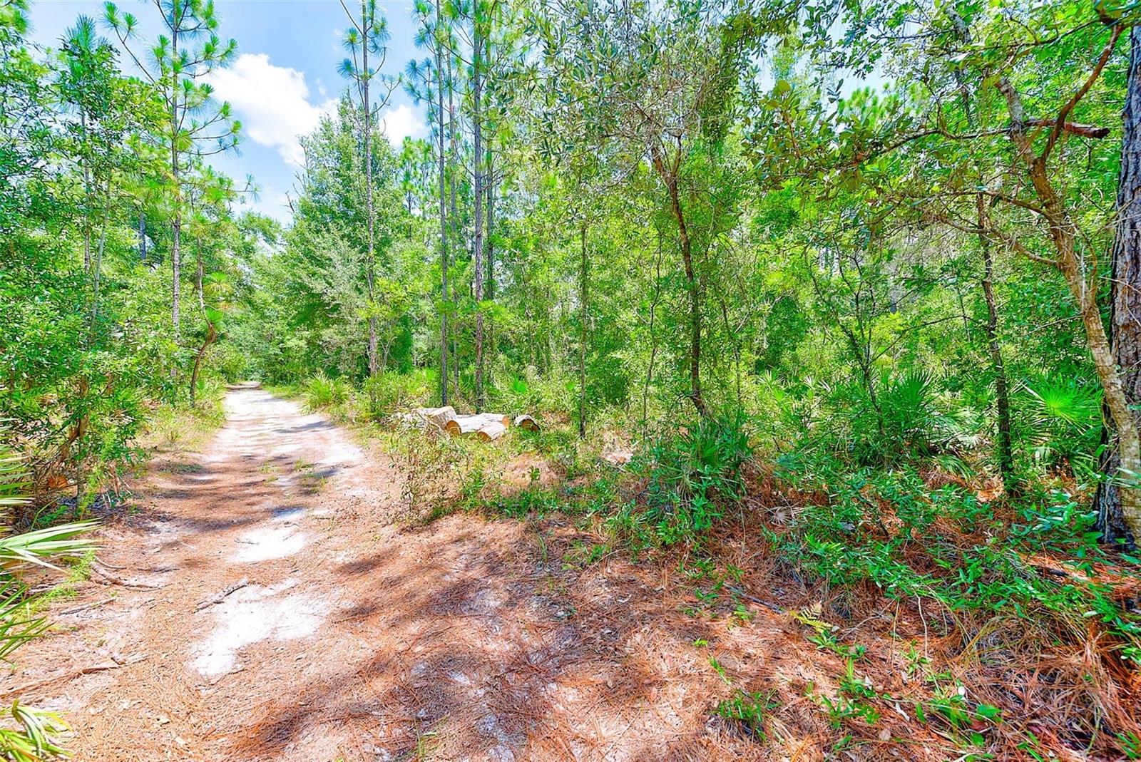 3129 N BERT TERRACE, CRYSTAL RIVER, FL, 34428