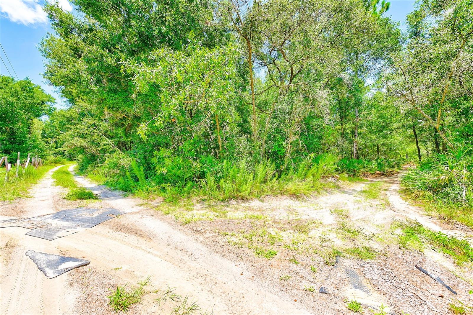 3129 N BERT TERRACE, CRYSTAL RIVER, FL, 34428