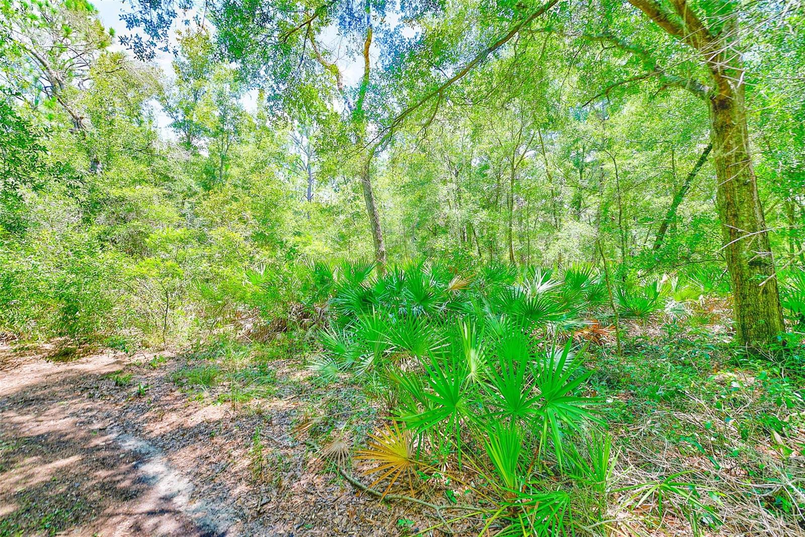 3129 N BERT TERRACE, CRYSTAL RIVER, FL, 34428