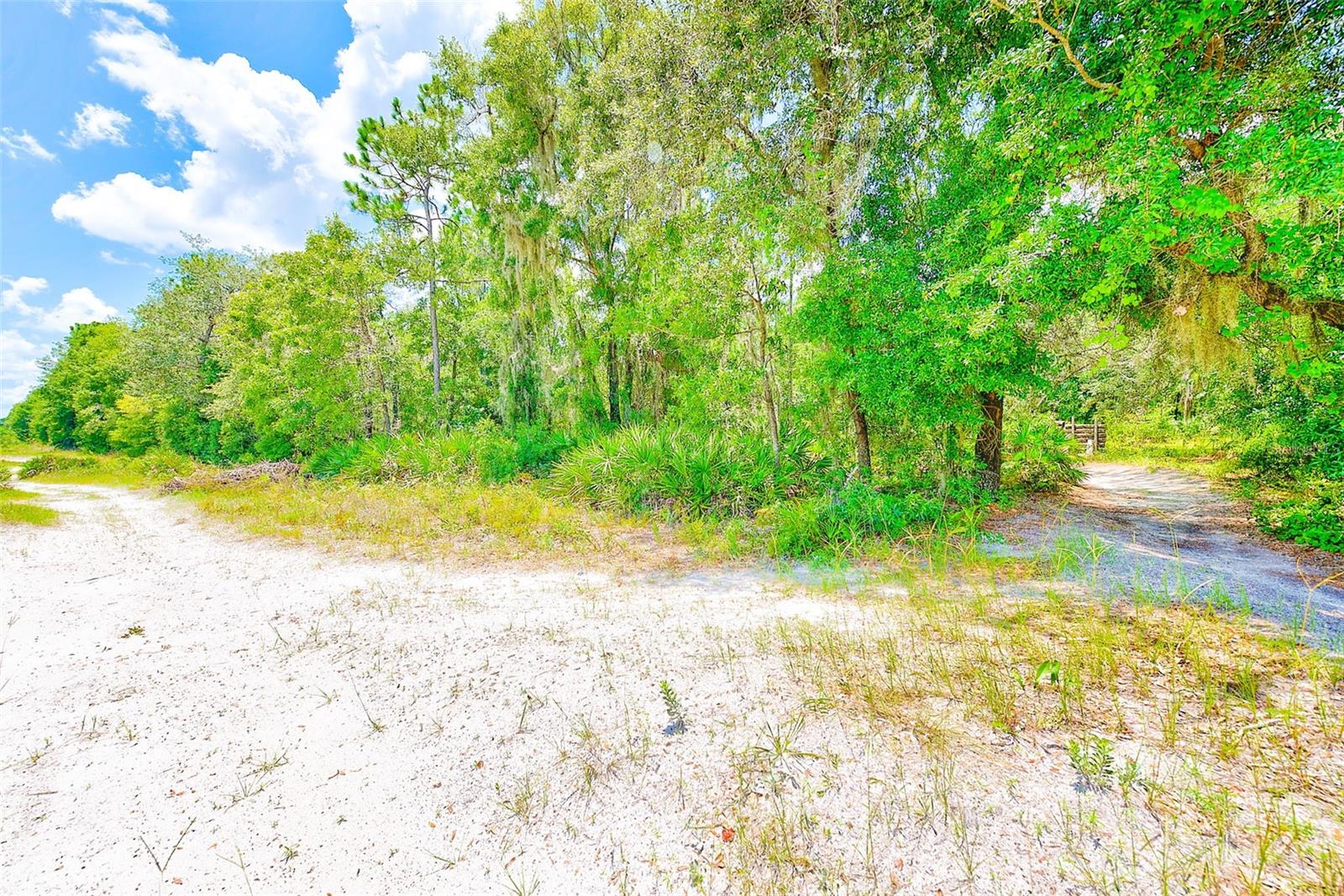 3129 N BERT TERRACE, CRYSTAL RIVER, FL, 34428