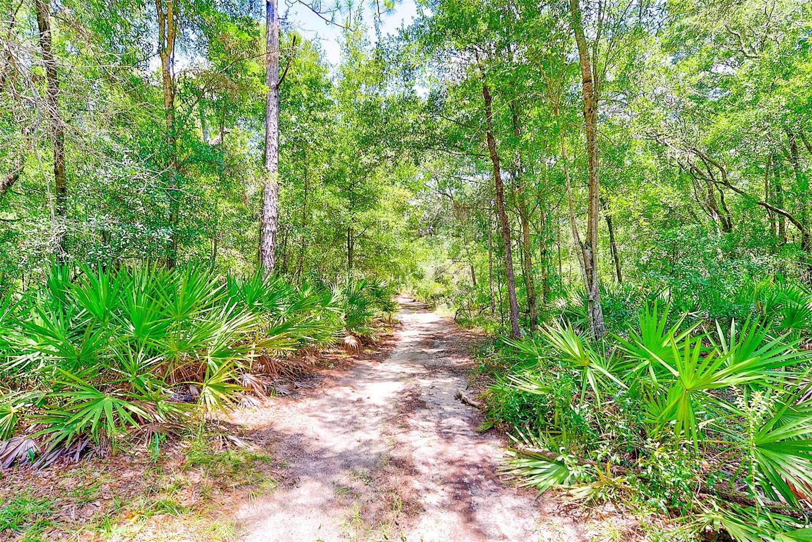 3129 N BERT TERRACE, CRYSTAL RIVER, FL, 34428